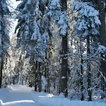 Sonnenhof Бад-Вильдбад