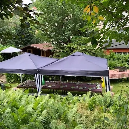 Hotel Sonnenhof 3*