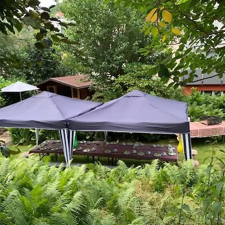 Отель Sonnenhof 3*