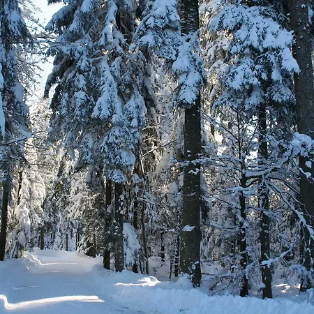 Sonnenhof باد ويلباد