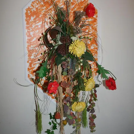 فندق Sonnenhof باد ويلباد