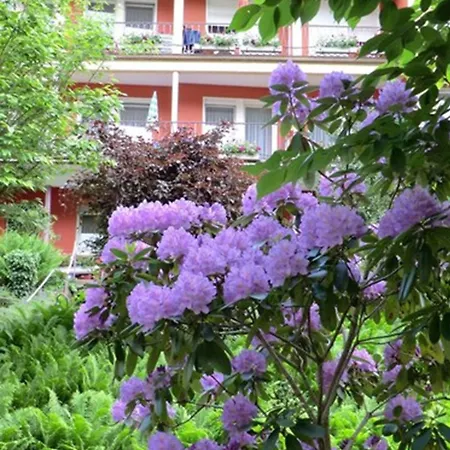 Sonnenhof باد ويلباد