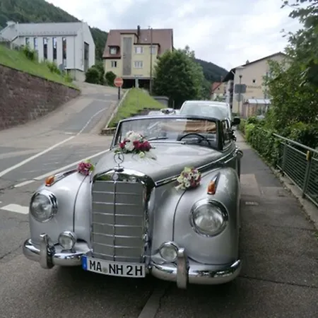 Hotel Sonnenhof 3*